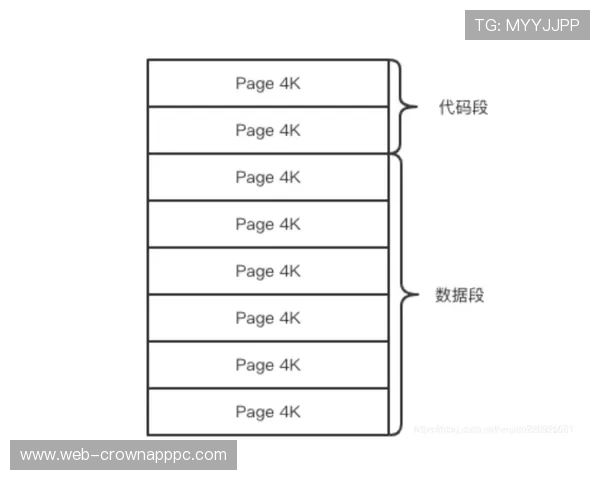 VAR介入判罚的核心条件与实际应用场景解析